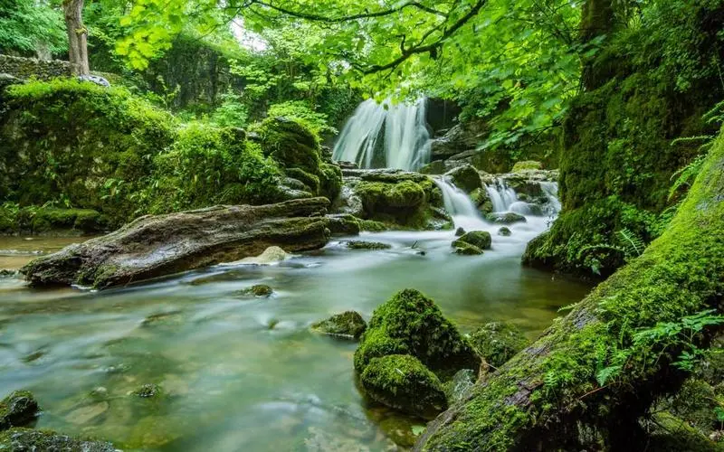 高效新型全自动